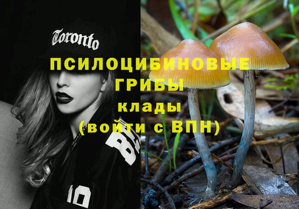 сатива Алзамай