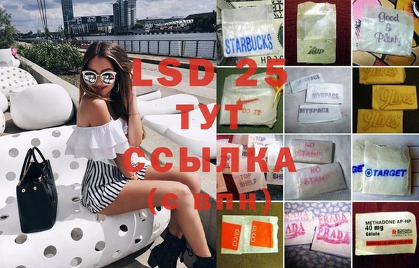 сатива Алзамай