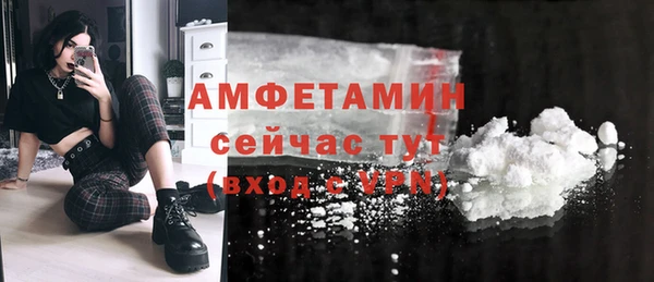 сатива Алзамай